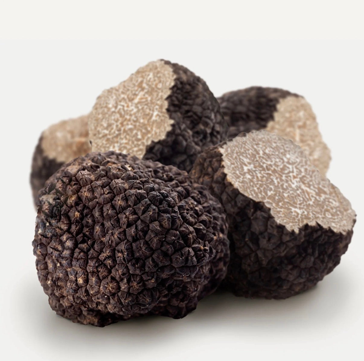 Black Summer Truffle