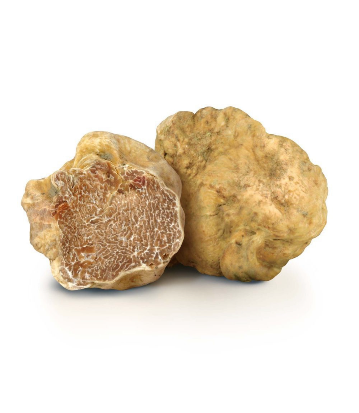 White Truffle