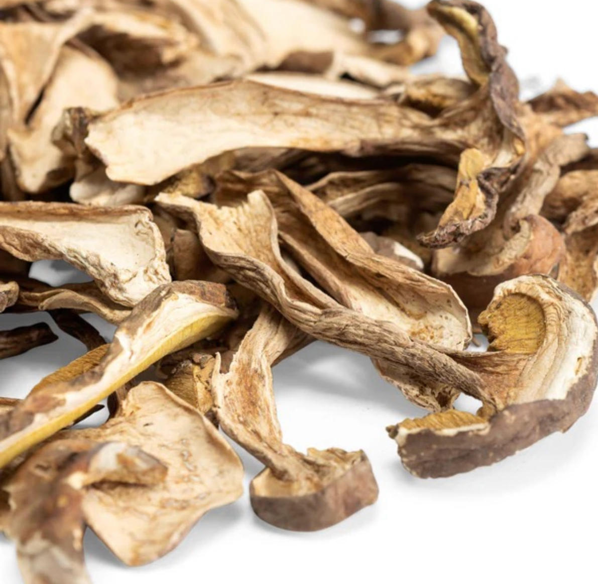 Dry Porcini